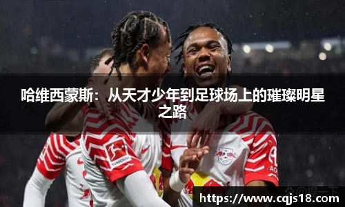 bsports必一体育